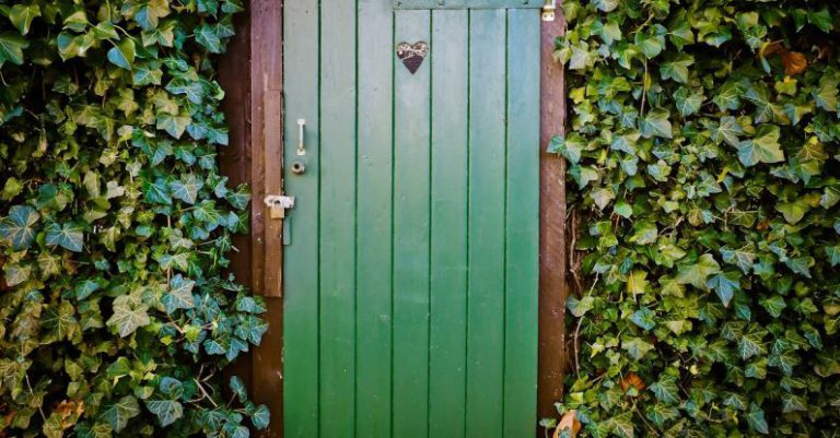 Door - Green Door and Green-leafed Plants