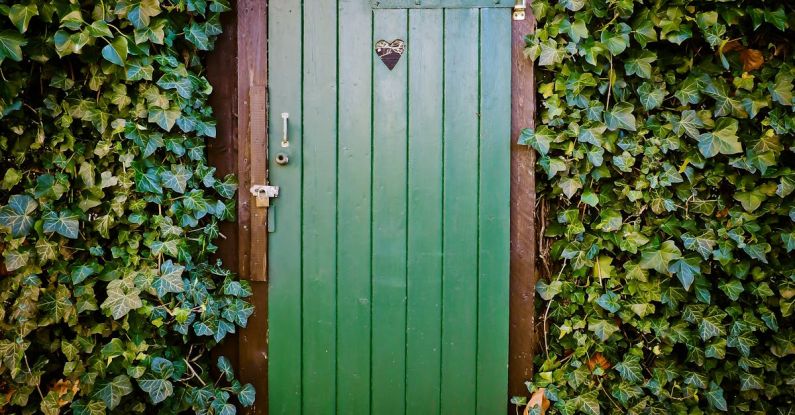 Door - Green Door and Green-leafed Plants