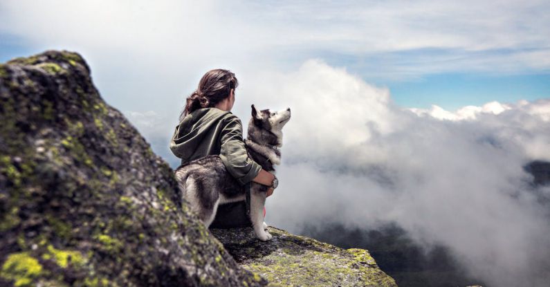 Lockout - Siberian Husky Beside Woman Sitting on Gray Rock Mountain Hill While Watching Aerial View